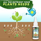 🔥BUY 1 GET 1 FREE🔥Plant Nutrient Solution