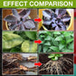 🔥BUY 1 GET 1 FREE🔥Plant Nutrient Solution