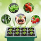 !🎉Seed starter trays with grow light