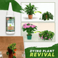 🔥BUY 1 GET 1 FREE🔥Plant Nutrient Solution
