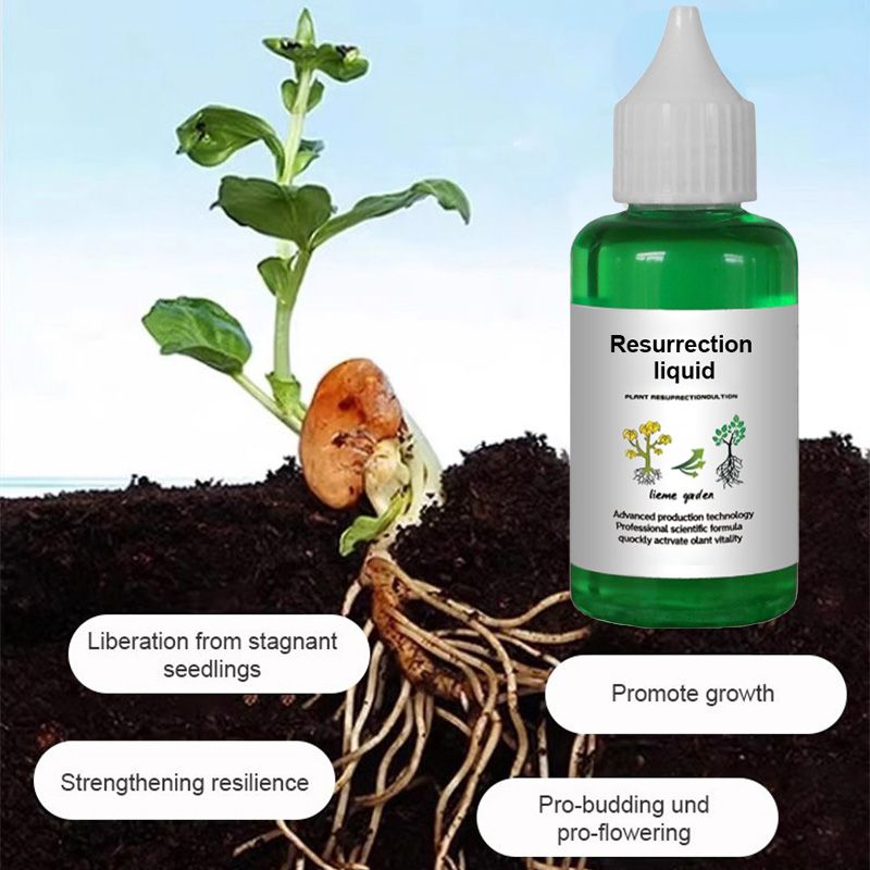🌿🌱Achetez 3 pour 5 (8 bouteilles)🌼 Boostez Vos Plantes Et Vos Économies💧👑