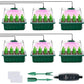 !🎉Seed starter trays with grow light