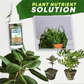 🔥BUY 1 GET 1 FREE🔥Plant Nutrient Solution