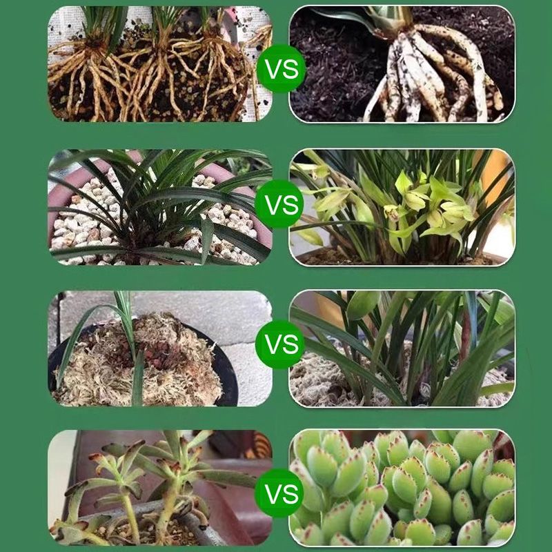 🌿🌱Achetez 3 pour 5 (8 bouteilles)🌼 Boostez Vos Plantes Et Vos Économies💧👑