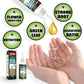 🔥BUY 1 GET 1 FREE🔥Plant Nutrient Solution