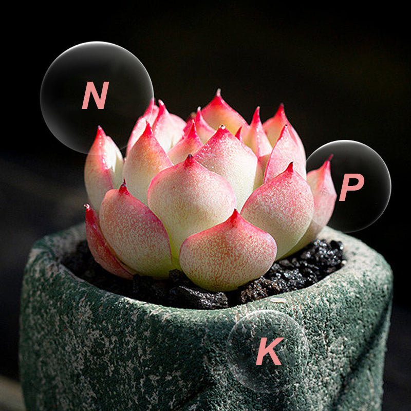 🍃Achetez-en 5 obtenez-en 5 gratuitement🌵🌸Comprimés nutritionnels universels vitalité pour la croissance des plantes