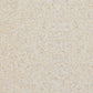 Matte Texture Wall & Floor Paint
