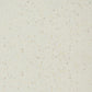 Matte Texture Wall & Floor Paint