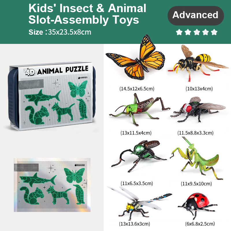 🐞Modèles d’insectes & animaux 1:1 – Assemblage éducatif en 3 niveaux, vinyle sécurisé🎁🔬
