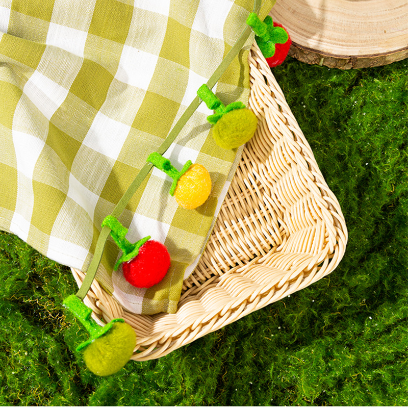 Ficelle interactive en forme de fruit pour chat