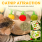 Ficelle interactive en forme de fruit pour chat