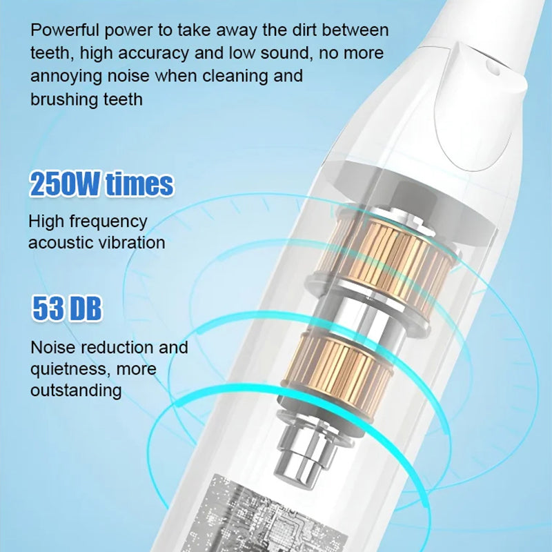 Détartreur Dentaire Ultrasonique Électrique pour l'Élimination du Tartre et de la Plaque