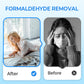 📢📢60 %  OFF !! ⏰Anti-Formaldehyde Air Purifier for Home