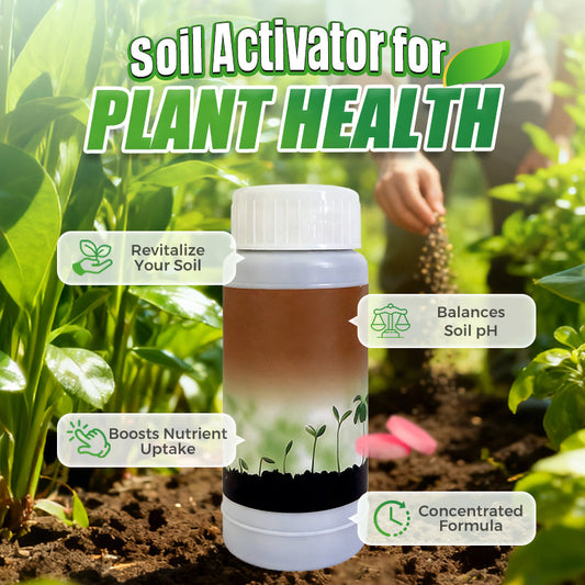 Activateur de sol pour la santé des plantes