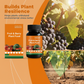 Fruit & Berry Plant Food