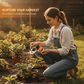 Fruit & Berry Plant Food