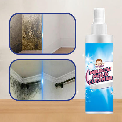 Mildew mold cleaner