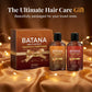 Multi-Effect Repair Shampoo and Conditioner Kit