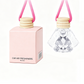 Hanging Car Diffuser Bottle