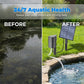 ⚡ 50% OFF NOW! ✨Solar Pond Aerator with Air Pump