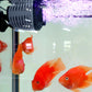 Aquarium Mini Wave Maker Water Circulation Pump