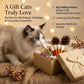 😻Interactive Swab Cat Toy with Catnip