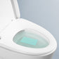 Scented Toilet Bowl Cleaner Strip