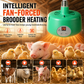 Temperature Control For Brooding Broiler ⏳Time-Limited Special⏰Intelligent Temperature Control Brooder Heater ...